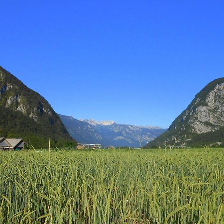 Apartamento V Objemu Gora Bohinj Exterior foto