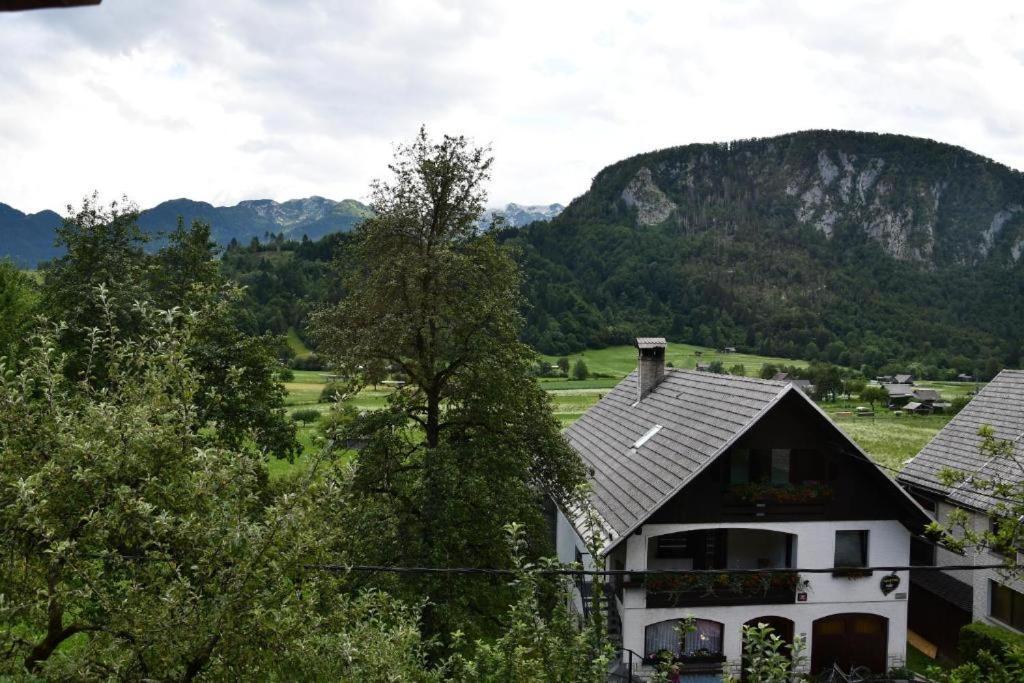 Apartamento V Objemu Gora Bohinj Exterior foto