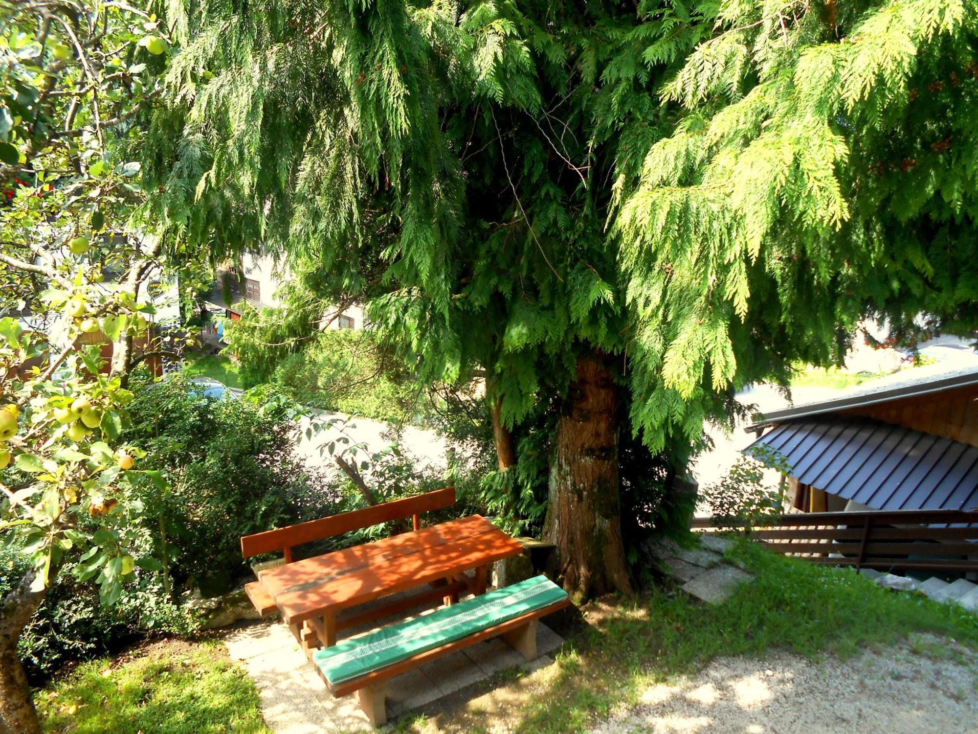 Apartamento V Objemu Gora Bohinj Exterior foto