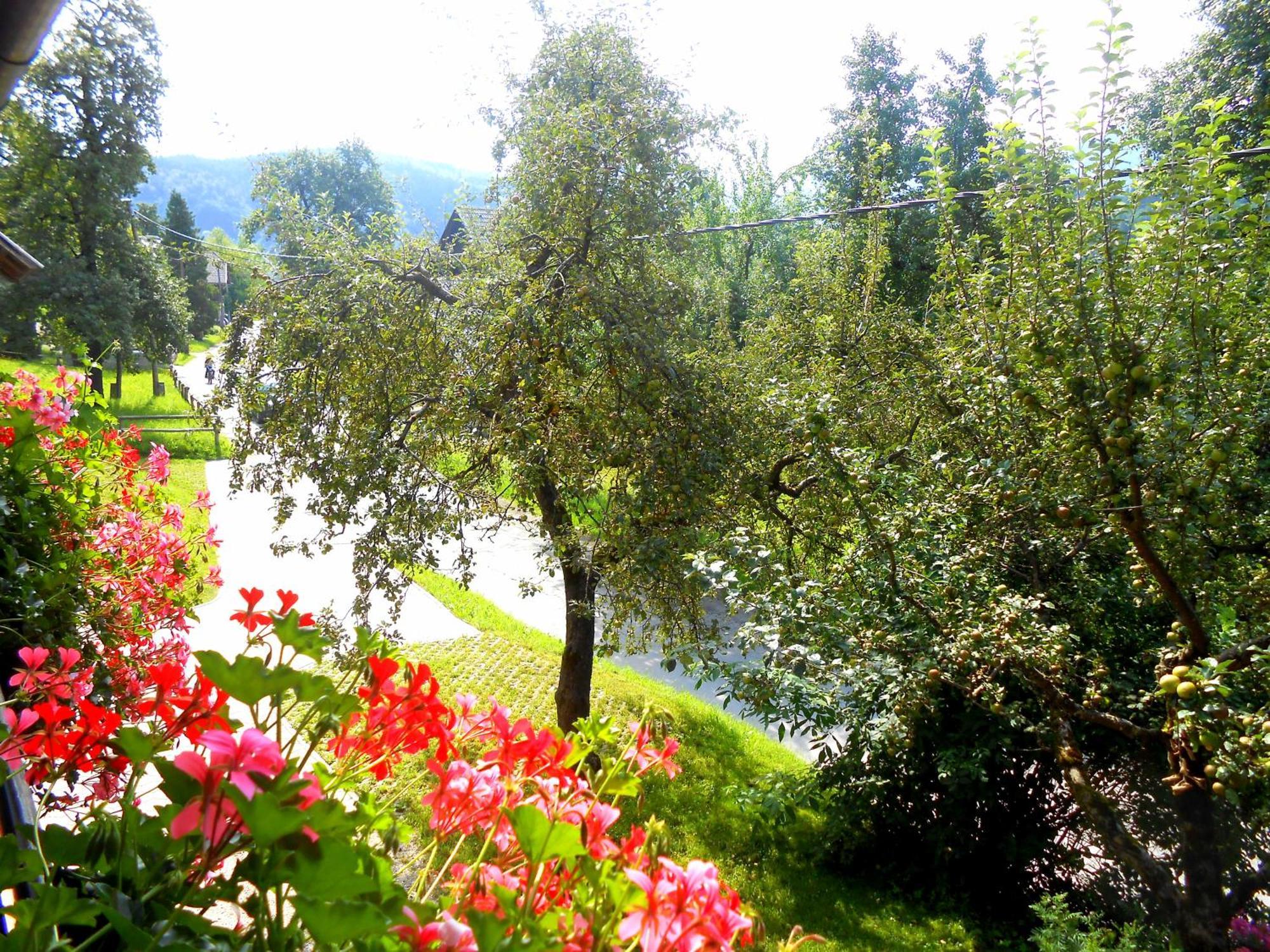 Apartamento V Objemu Gora Bohinj Exterior foto